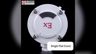 Caixa de junção à prova de explosão GLO-AH