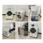 Vacuum Household Mini Freeze Dryer Laboratory Food Fruit Liquid Small Drying Equipment