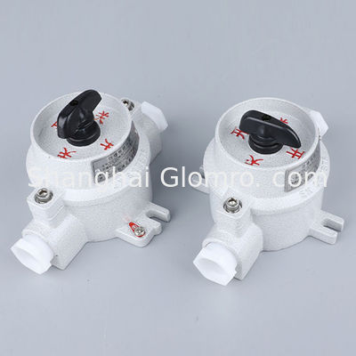 ATEX IECEx Certified SW-10 Explosion Proof Switch 10A 220V/380V in Stock