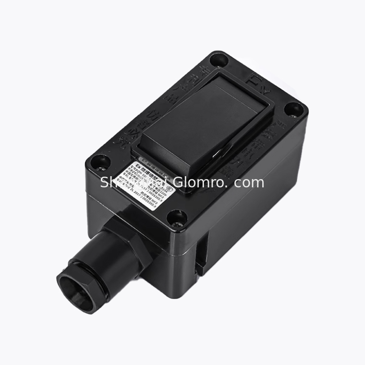 Ex Proof Switch SW10 for Petrochemical Plant AC220V Transportation Gas Stations european wall switches