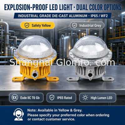 Iluminação à prova de explosão LED de 10W IP65 WF2 Longe duração Iluminação de áreas industriais perigosas para refinaria