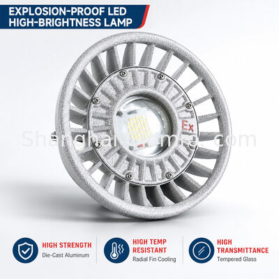 Luz LED à Prova de Explosão 20W/30W/40W/50W/60W/70W/80W/100W/120W IP66 Iluminação para Locais Perigosos em Alumínio Fundido Múltiplas Opções de Potência